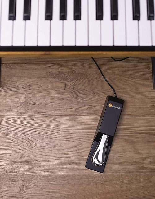 Load image into Gallery viewer, SP-2 - Universal Sustain Pedal with Piano Style Action for MIDI Keyboards, Digital Pianos &amp; More
