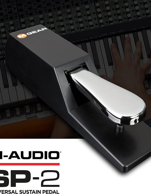 Load image into Gallery viewer, SP-2 - Universal Sustain Pedal with Piano Style Action for MIDI Keyboards, Digital Pianos &amp; More

