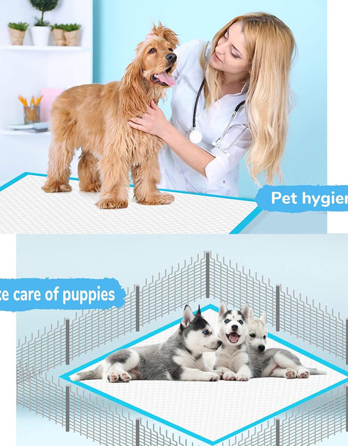 Load image into Gallery viewer, Dog Pee Pad, Puppy Potty Training Pet Pads Dog Pads Extra Large Disposable Super Absorbent &amp; Leak-Free Pee Pads 28"X34"
